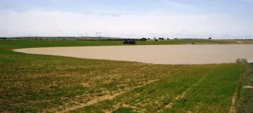 Humedales-El-Bonillo-Navaconchel3