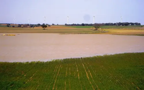 Humedales-El-Bonillo-Navaconchel4