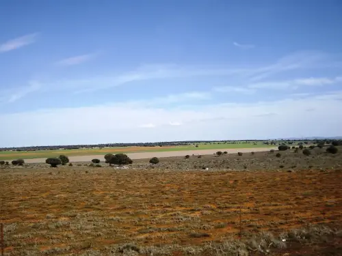 Humedales-El-Bonillo-Navaconchel5