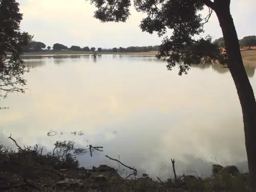 Humedales-El-Bonillo-Navajo-Casal2