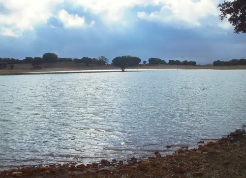Humedales-El-Bonillo-Navajo-Casal3