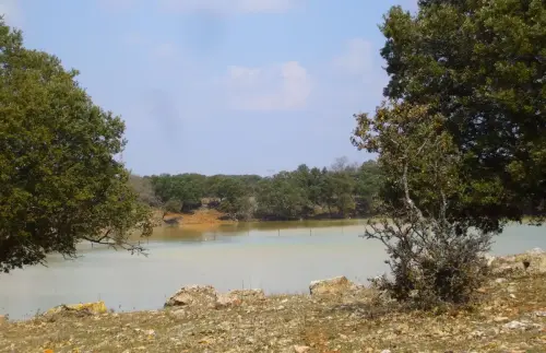 Humedales-El-Bonillo-Navajo-Casal4