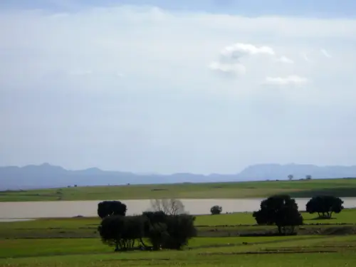 Humedales-El-Bonillo-Navalcudia