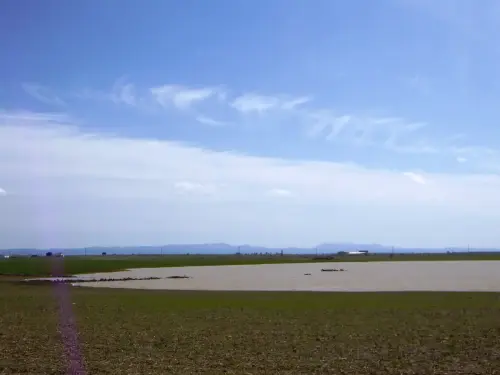 Humedales-El-Bonillo-Navalcudia10