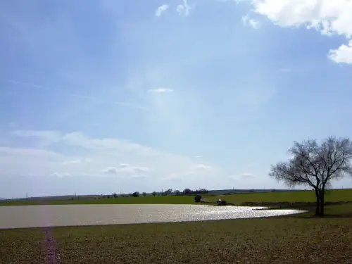 Humedales-El-Bonillo-Navalcudia11