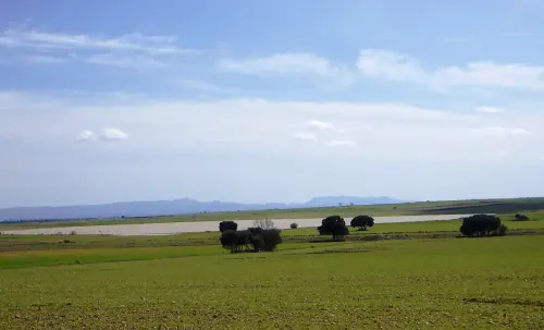 Humedales-El-Bonillo-Navalcudia12