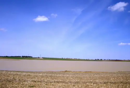 Humedales-El-Bonillo-Navalcudia13