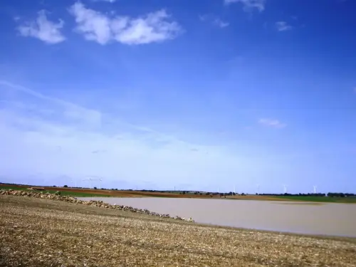 Humedales-El-Bonillo-Navalcudia14