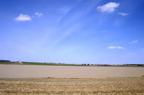 Humedales-El-Bonillo-Navalcudia15