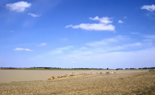 Humedales-El-Bonillo-Navalcudia16