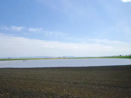 Humedales-El-Bonillo-Navalcudia18