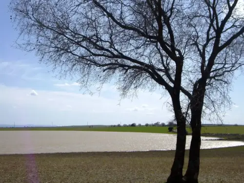 Humedales-El-Bonillo-Navalcudia2
