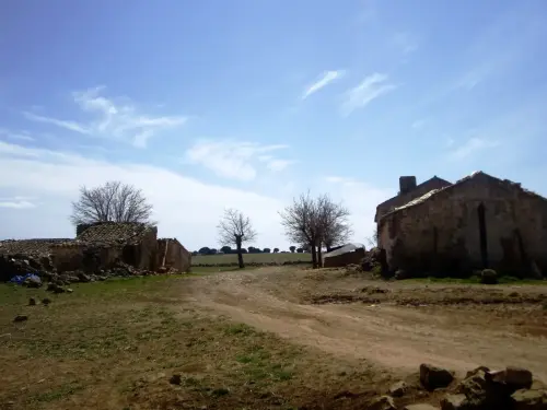 Humedales-El-Bonillo-Navalcudia3