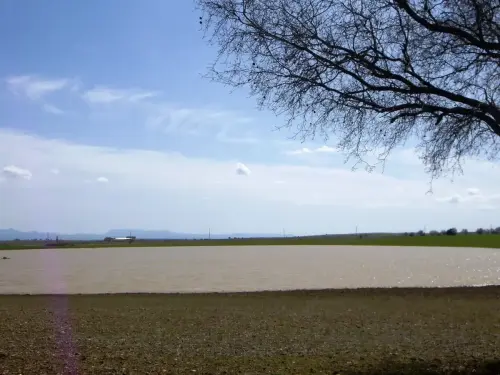 Humedales-El-Bonillo-Navalcudia5