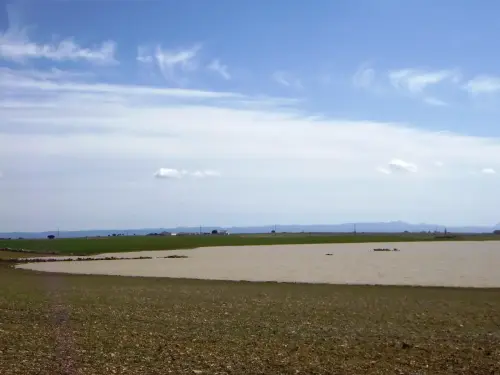 Humedales-El-Bonillo-Navalcudia6