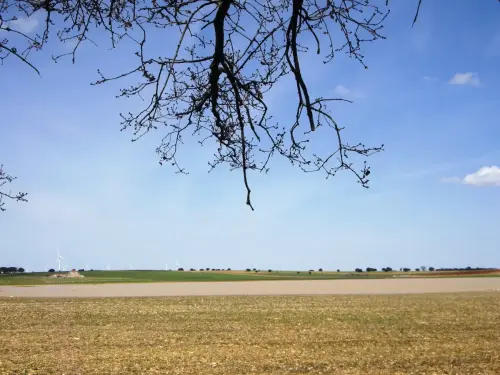 Humedales-El-Bonillo-Navalcudia7