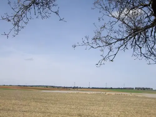 Humedales-El-Bonillo-Navalcudia8