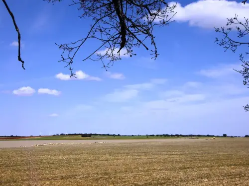 Humedales-El-Bonillo-Navalcudia9