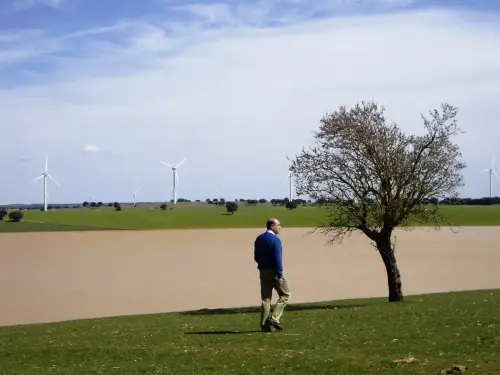 Humedales-El-Bonillo-Peribanez10