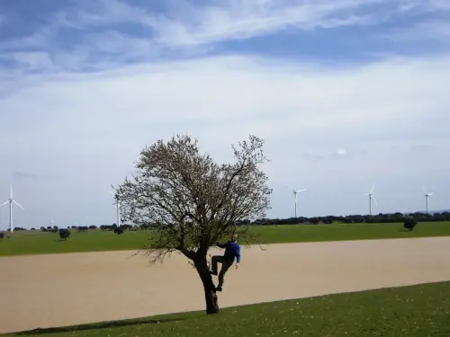 Humedales-El-Bonillo-Peribanez11