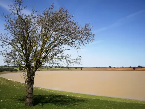 Humedales-El-Bonillo-Peribanez3