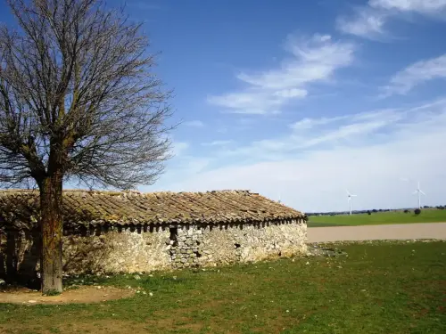 Humedales-El-Bonillo-Peribanez4