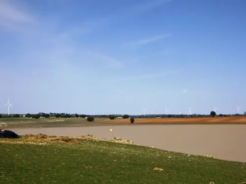 Humedales-El-Bonillo-Peribanez5