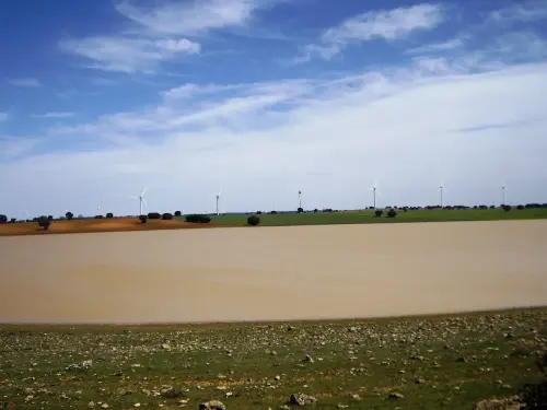 Humedales-El-Bonillo-Peribanez6