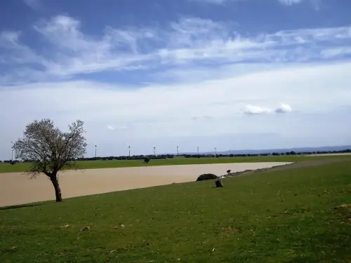 Humedales-El-Bonillo-Peribanez7