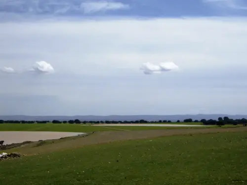 Humedales-El-Bonillo-Peribanez8