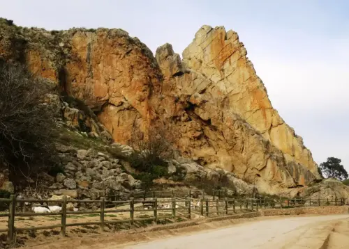 Humedales-Fuentealbilla-Laguna-del-Hoyo-Los-Galayos7