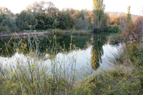 Humedales-Hellin-La-Fuente-de-Isso-Hellin