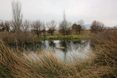 Humedales-Hellin-La-Fuente-de-Isso-Hellin3
