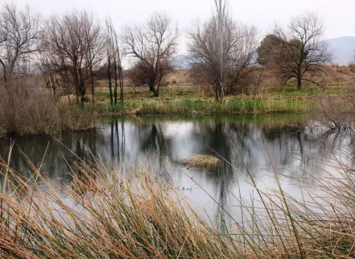 Humedales-Hellin-La-Fuente-de-Isso-Hellin4