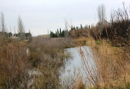 Humedales-Hellin-La-Fuente-de-Isso-Hellin5