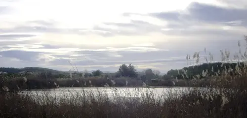 Humedales-Hellin-Laguna-de-los-Patos-Hellin