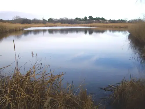 Humedales-Hellin-Laguna-de-los-Patos-Hellin2