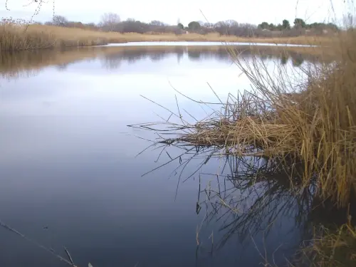 Humedales-Hellin-Laguna-de-los-Patos-Hellin3
