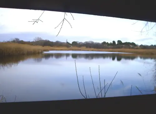 Humedales-Hellin-Laguna-de-los-Patos-Hellin4