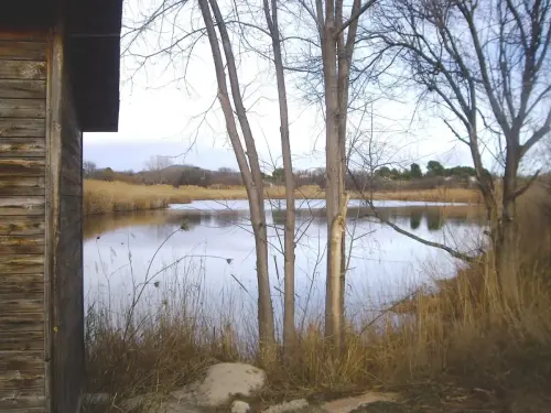 Humedales-Hellin-Laguna-de-los-Patos-Hellin5