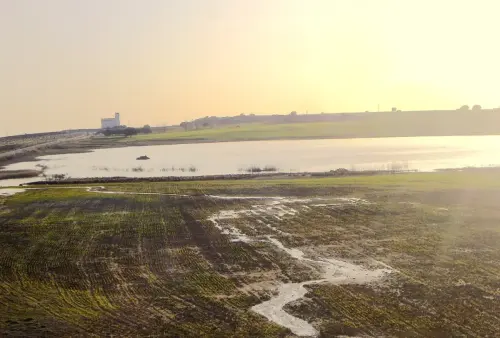 Humedales-Higueruela-El-Salobrejo-Salobralejo12