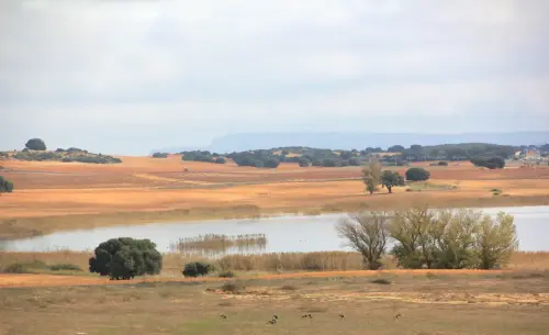Humedales-Higueruela-El-Salobrejo-Salobralejo2