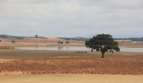 Humedales-Higueruela-El-Salobrejo-Salobralejo3