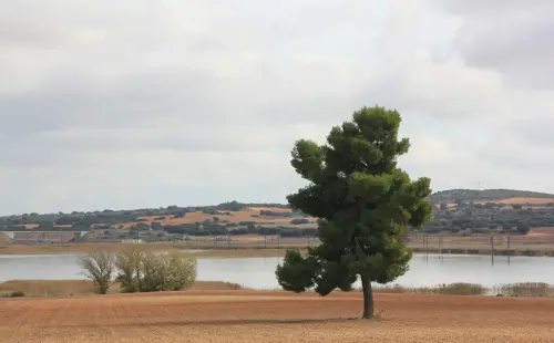 Humedales-Higueruela-El-Salobrejo-Salobralejo4