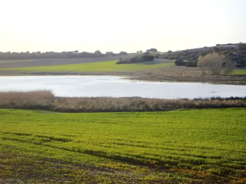 Humedales-Higueruela-El-Salobrejo-Salobralejo6