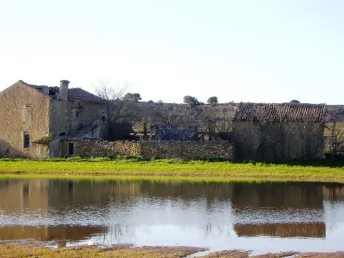 Humedales-Higueruela-El-Salobrejo-Salobralejo7