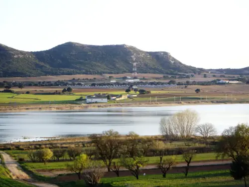 Humedales-Higueruela-El-Salobrejo-Salobralejo8