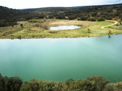 Humedales-Masegoso-Laguna-del-Arquillo2