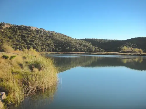 Humedales-Masegoso-Laguna-del-Arquillo6