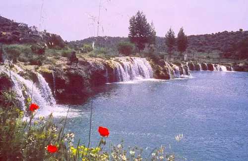 Humedales-Ossa-de-Montiel-Lagunas-de-Ruidera26